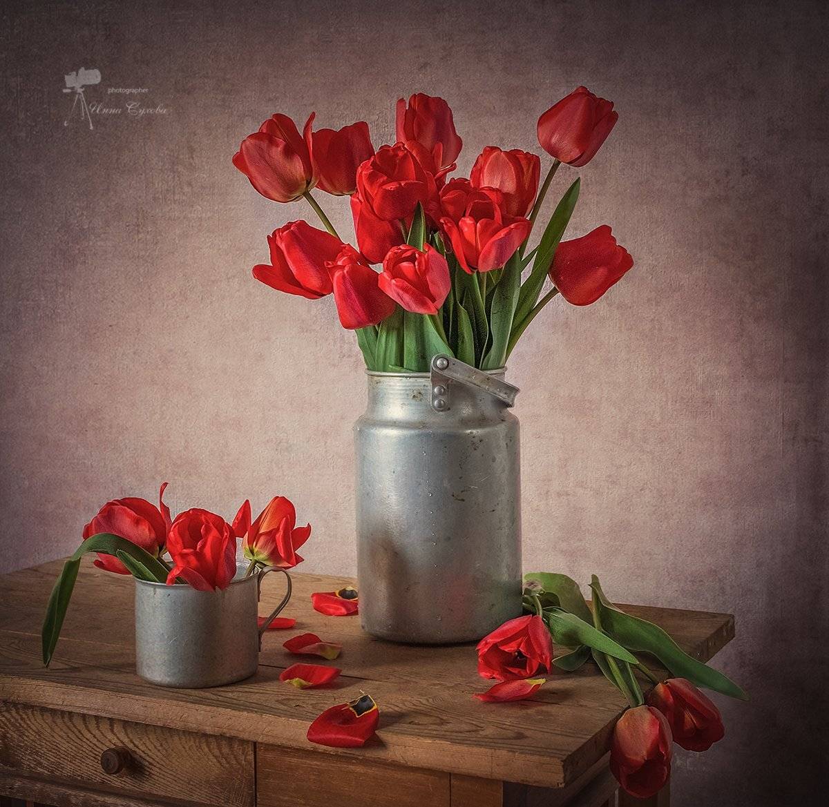 , Инна Сухова