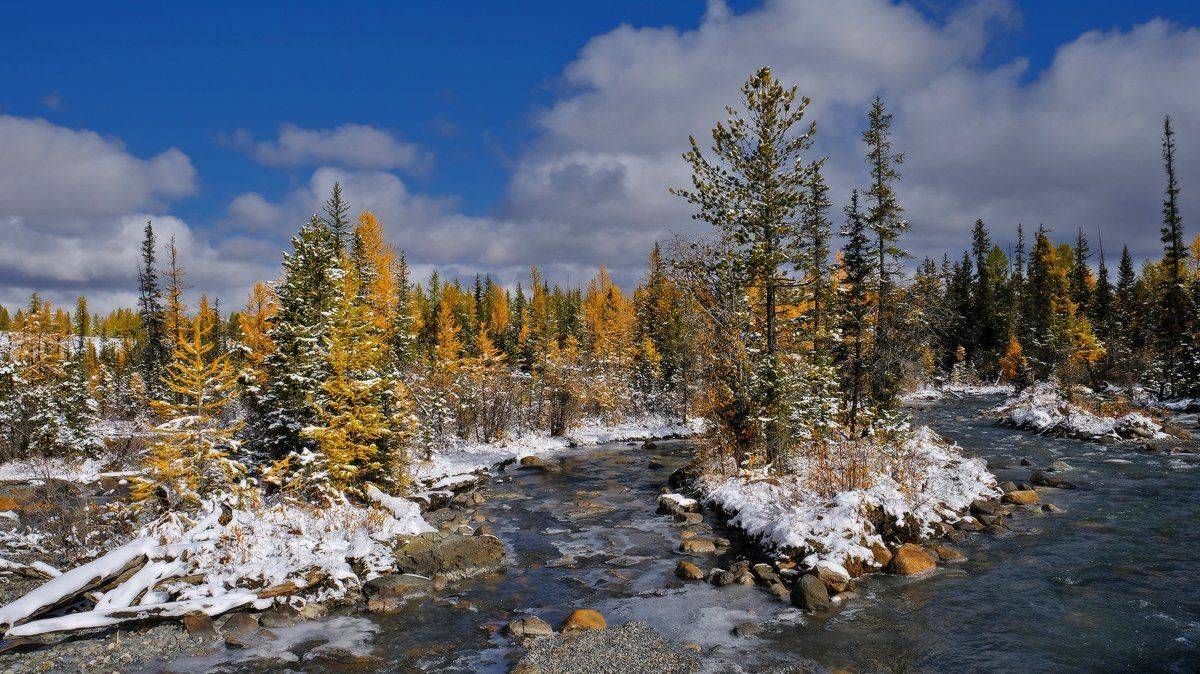 , Ольга Челдыкова