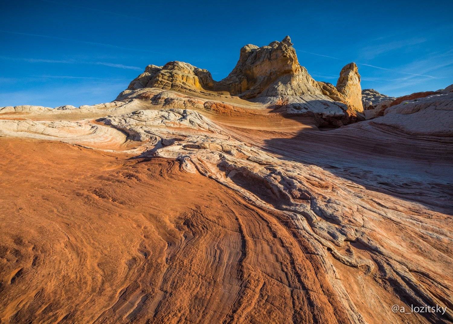 , Александр Лозицкий