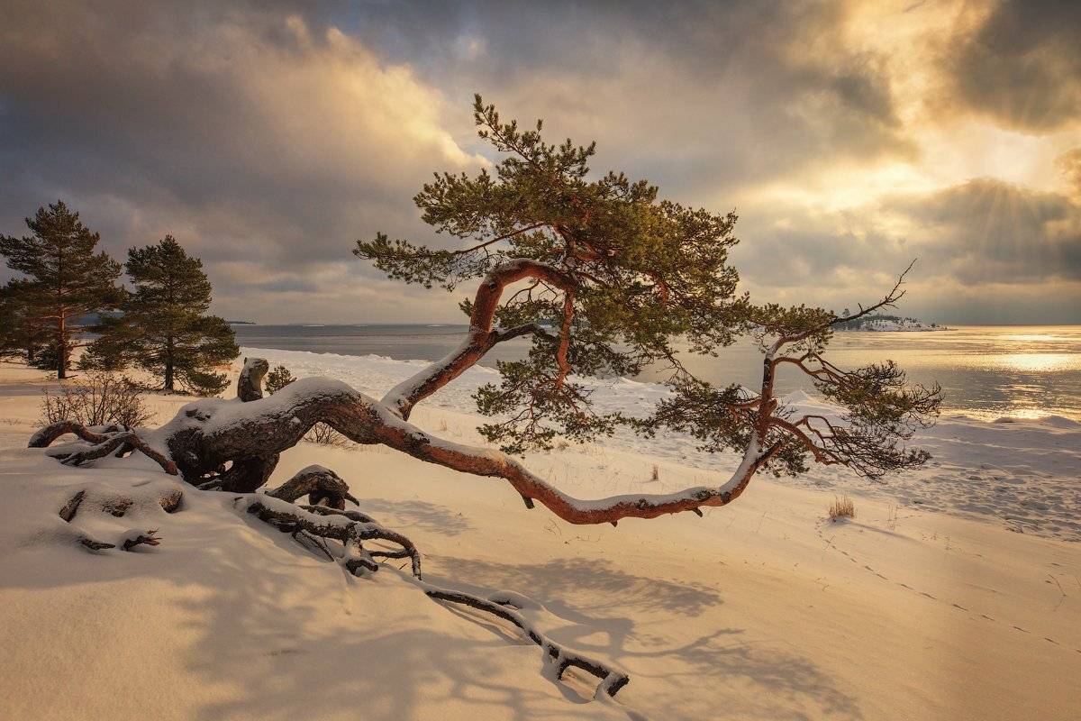 Ладожские шхеры., Юрий Чернов