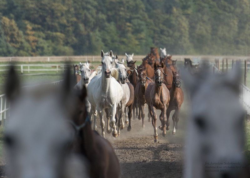 pomiędzy.. фото превью