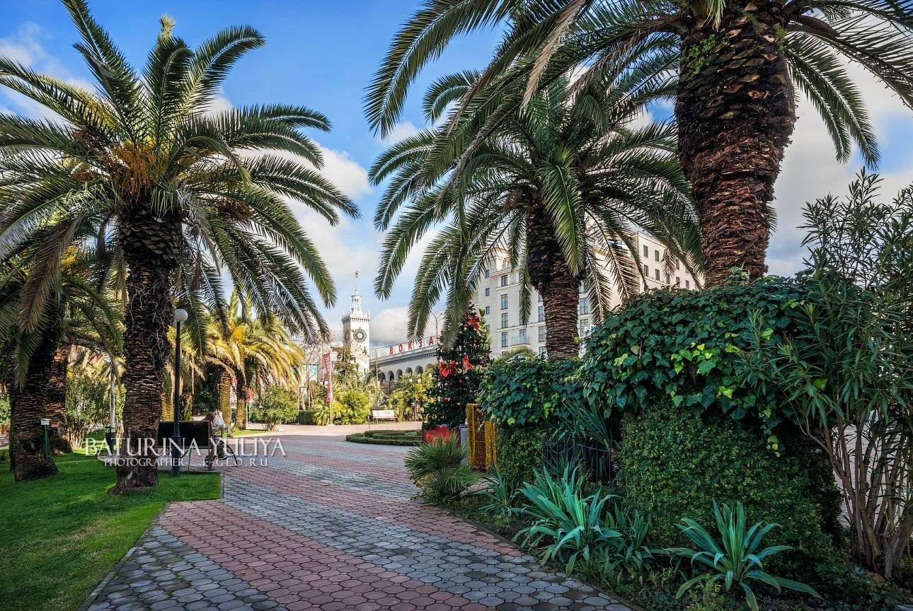 россия, сочи, новый год, елка, пальма, тепло, архитектура, вокзал, Юлия Батурина