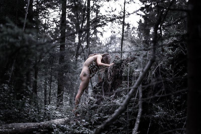 Solitude 16/4 фото превью