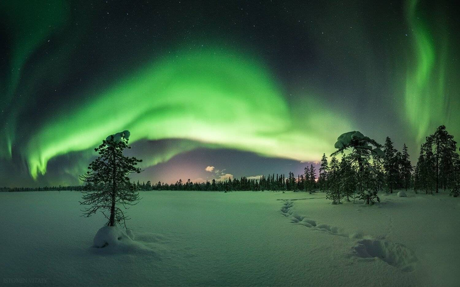 пейзаж,россия,сияние,снег,панорама,свет,лес,зима,следы,звезды, Виталий Истомин