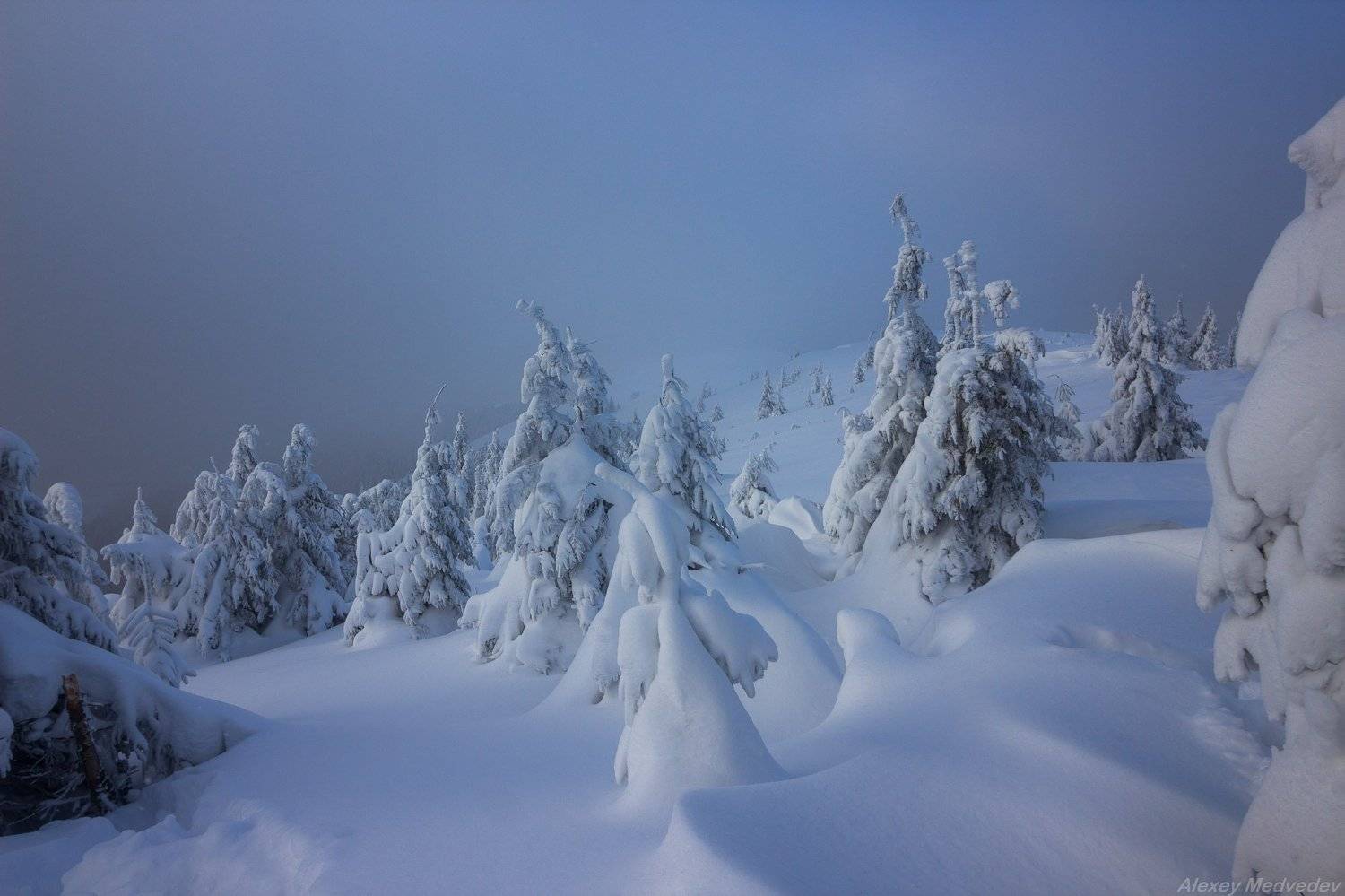 ukraine,  carpathians, alone, mountains, горы, зима, холод, карпаты, горганы, Алексей Медведев