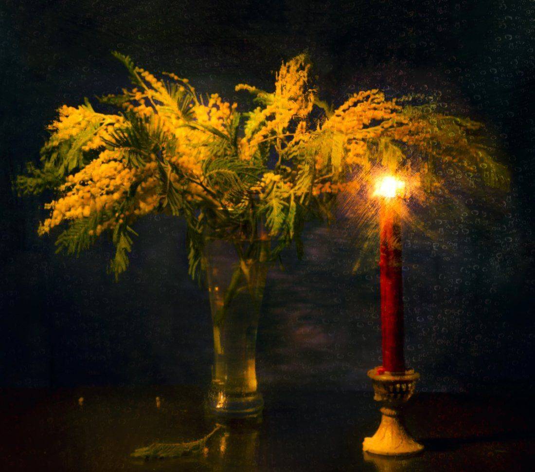 , Елена Брежицкая