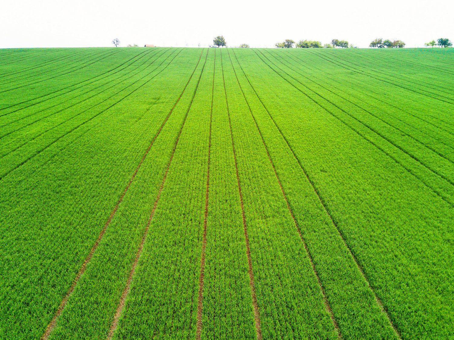 чехия, моравия, квадрокоптер, дрон, drone, aerial, czech, moravia, Василий Яковлев