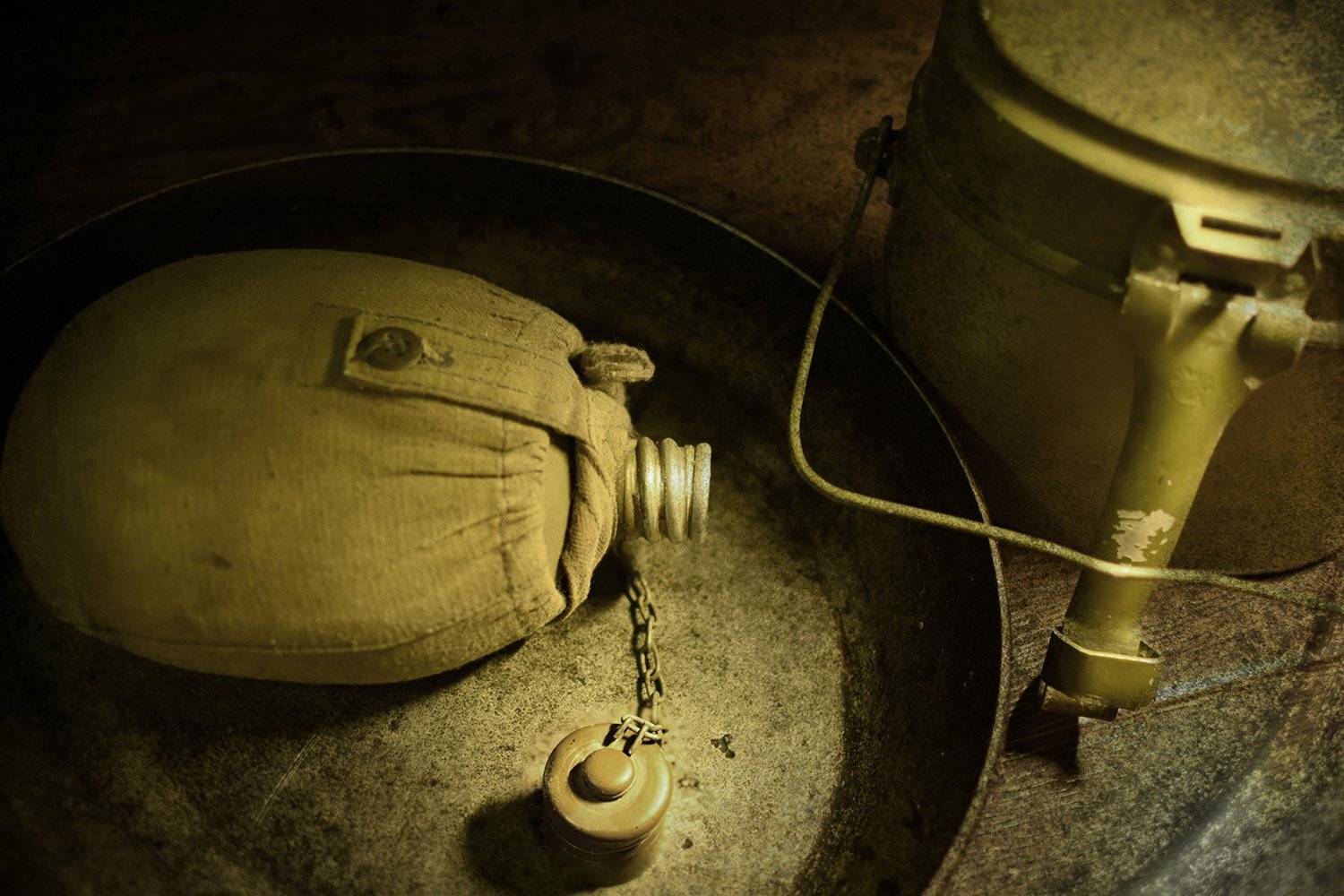 , Шипунова Ирина