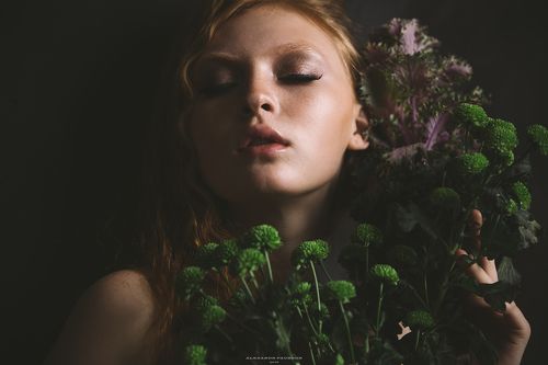 Holy Aroma