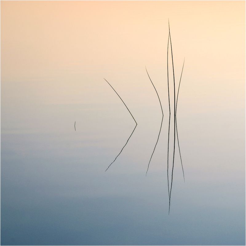 минимализм min. фото превью