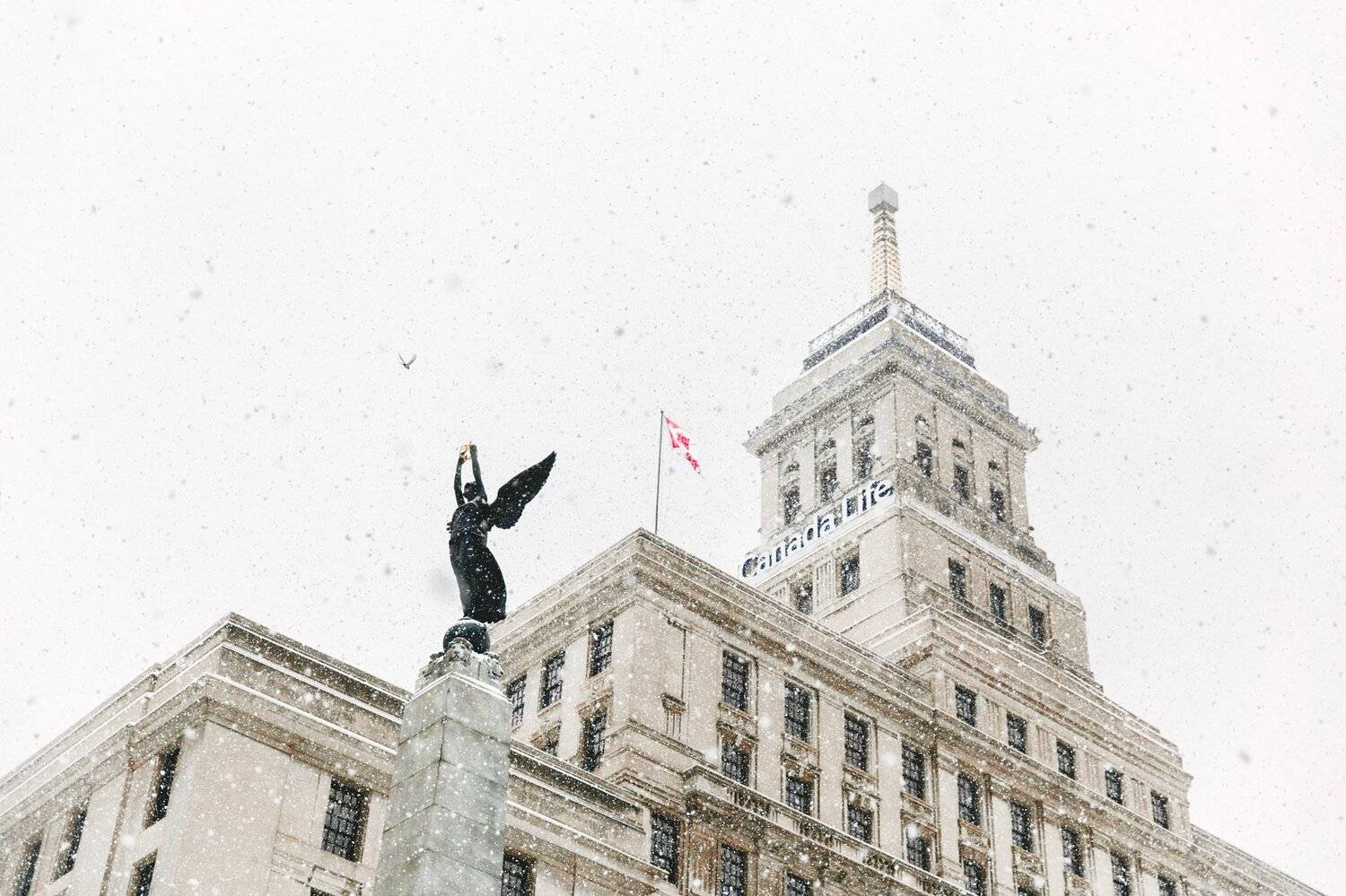 канада, торонто, город, здание, статуя, птица, корона, снег, зима,canada, toronto, city, building, statue, bird, crown, snow, winter,, Марко Радовановић