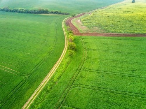 Среди весенних полей