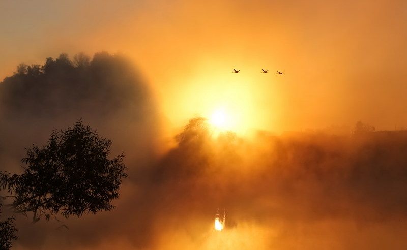 К родным берегам фото превью