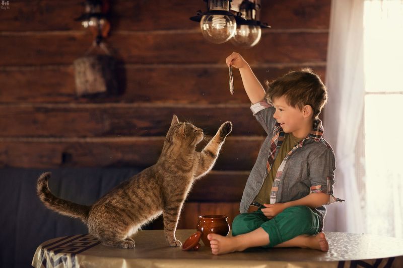 Ловись, рыбка! фото превью