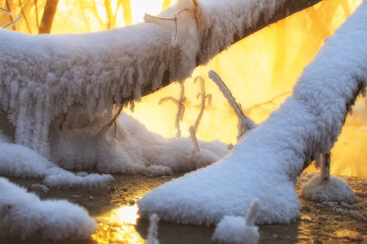 , Павел Сагайдак