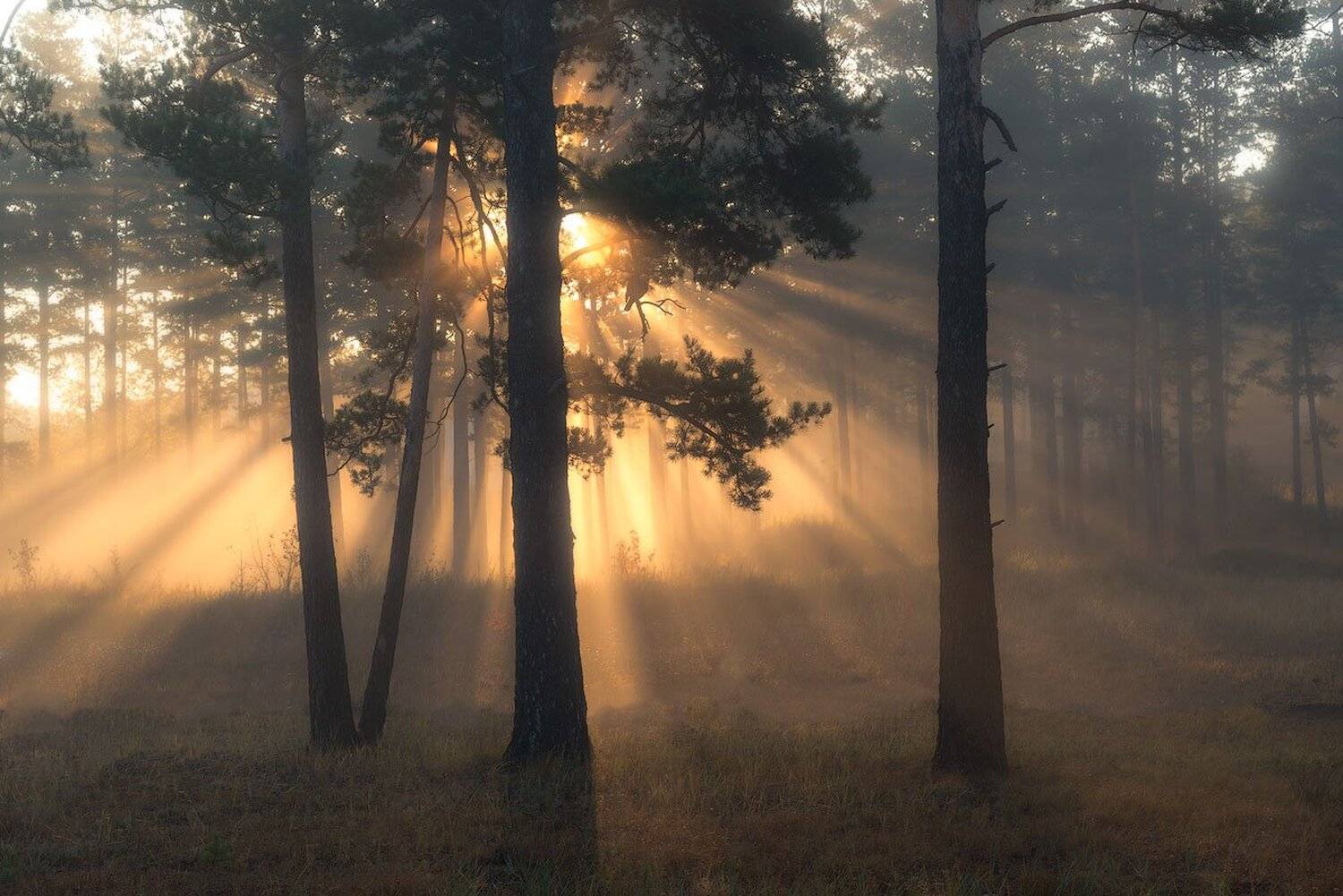 , Сергей Брагин