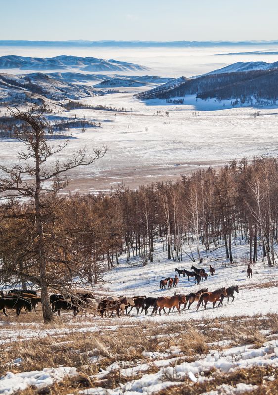 Путешествие фото превью