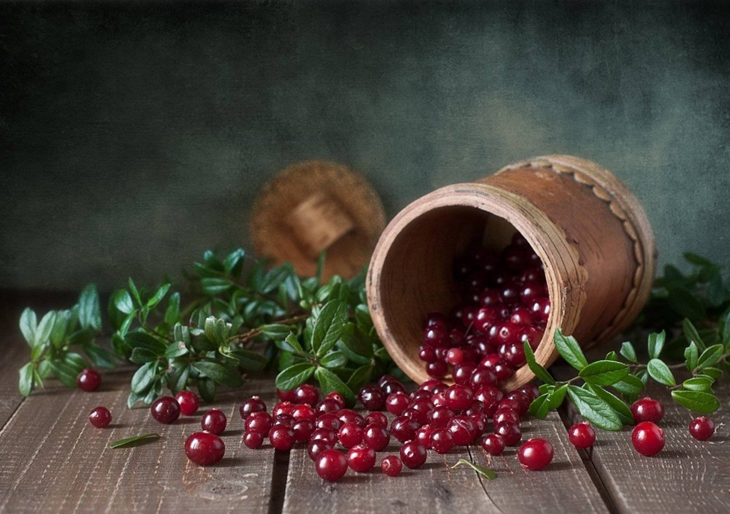 натюрморт,ягоды,брусника,клюква, Наталия