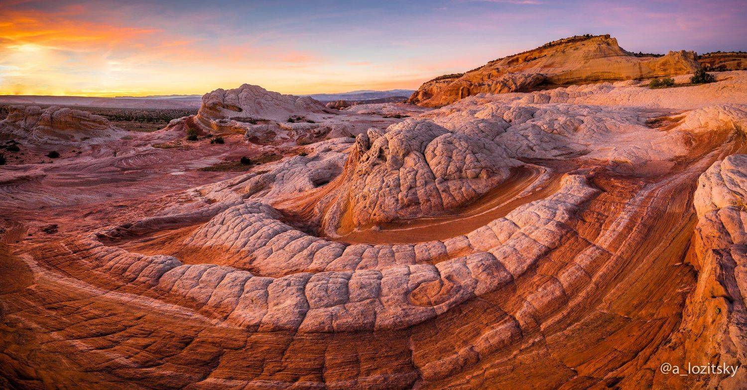 , Александр Лозицкий