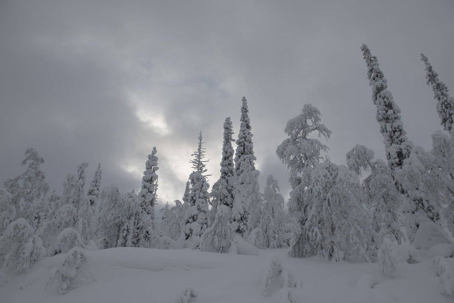 зима, Ирина