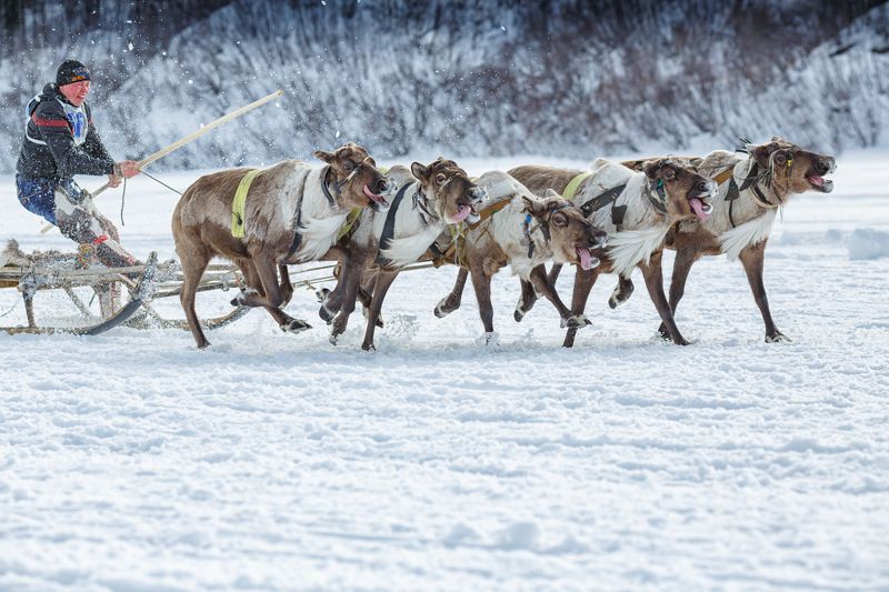 * * * фото превью