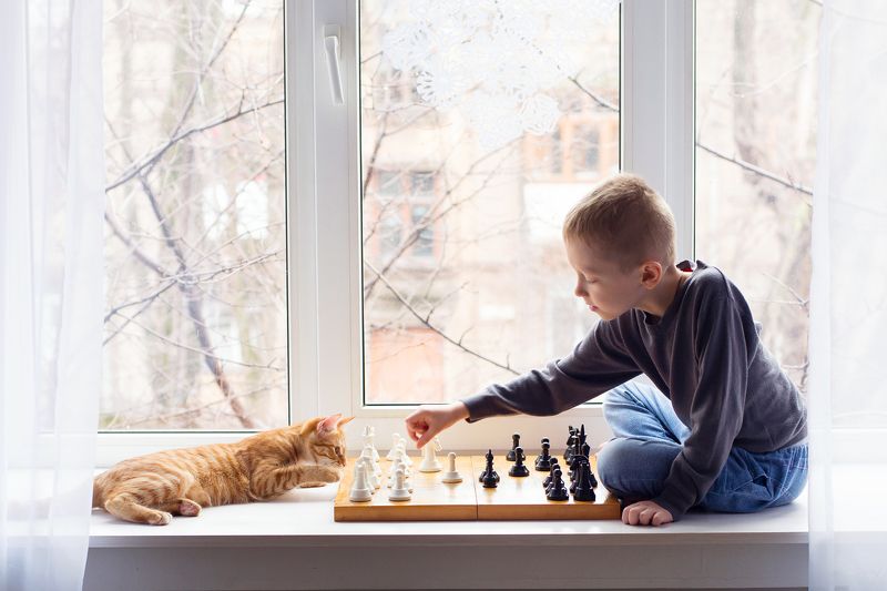 Партия фото превью