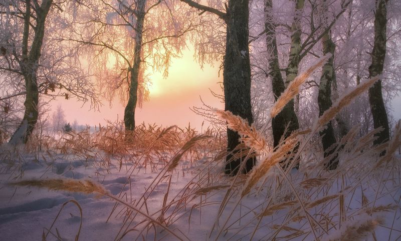 *** фото превью