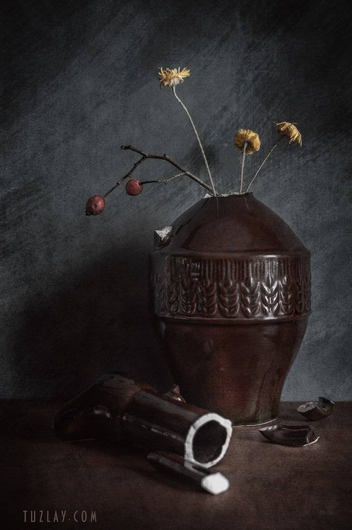 разбитый кувшин, засохшие цветы, шиповник, Владимир Тузлай
