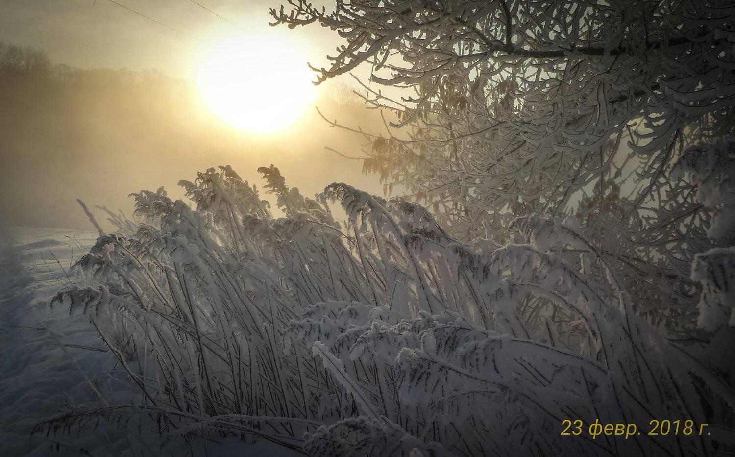 , Владлен Халимов