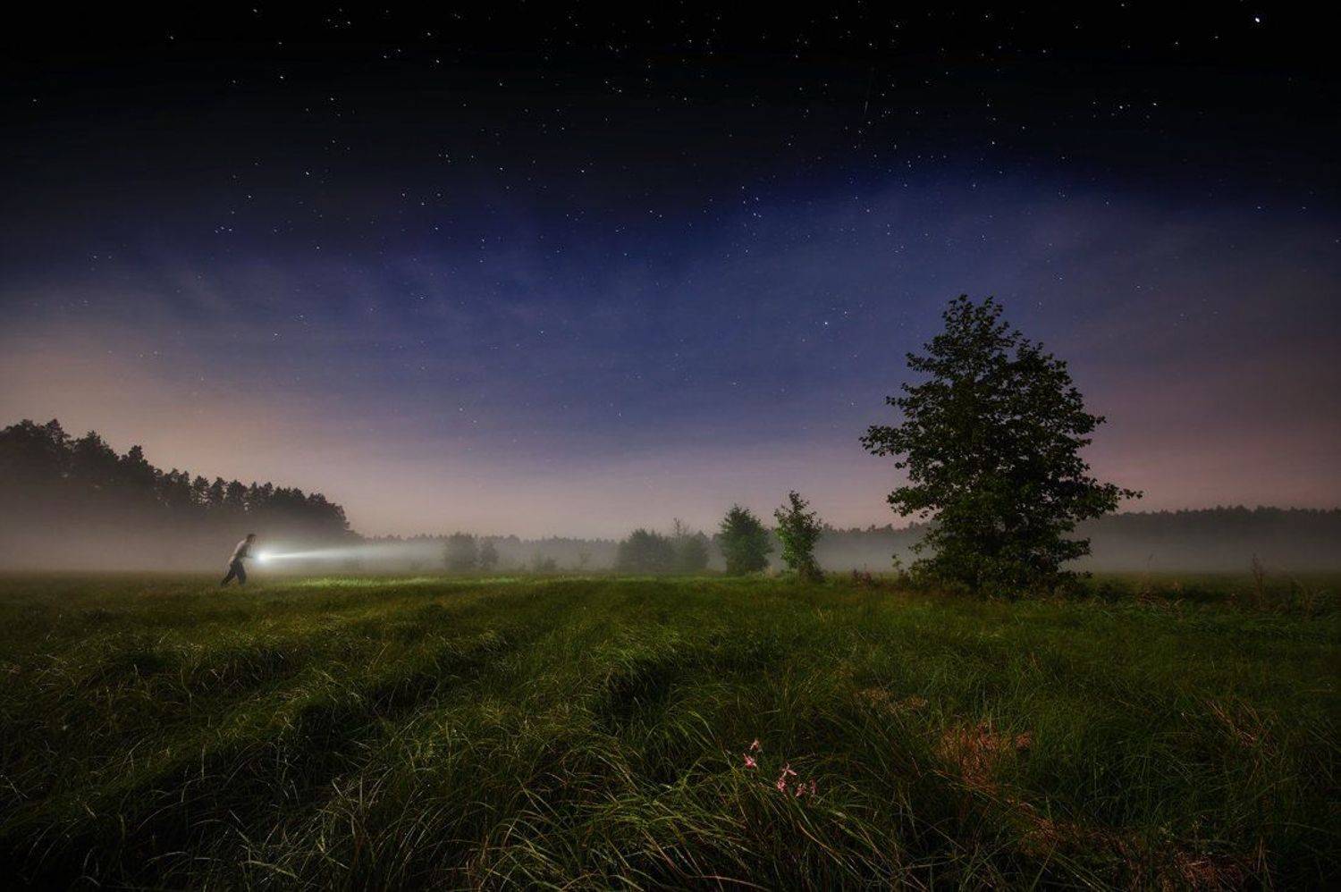 night, forest, mist, human, autoportrait, Rafal