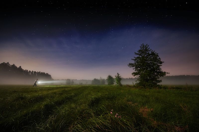 night, forest, mist, human, autoportrait Who shortens his paths... фото превью