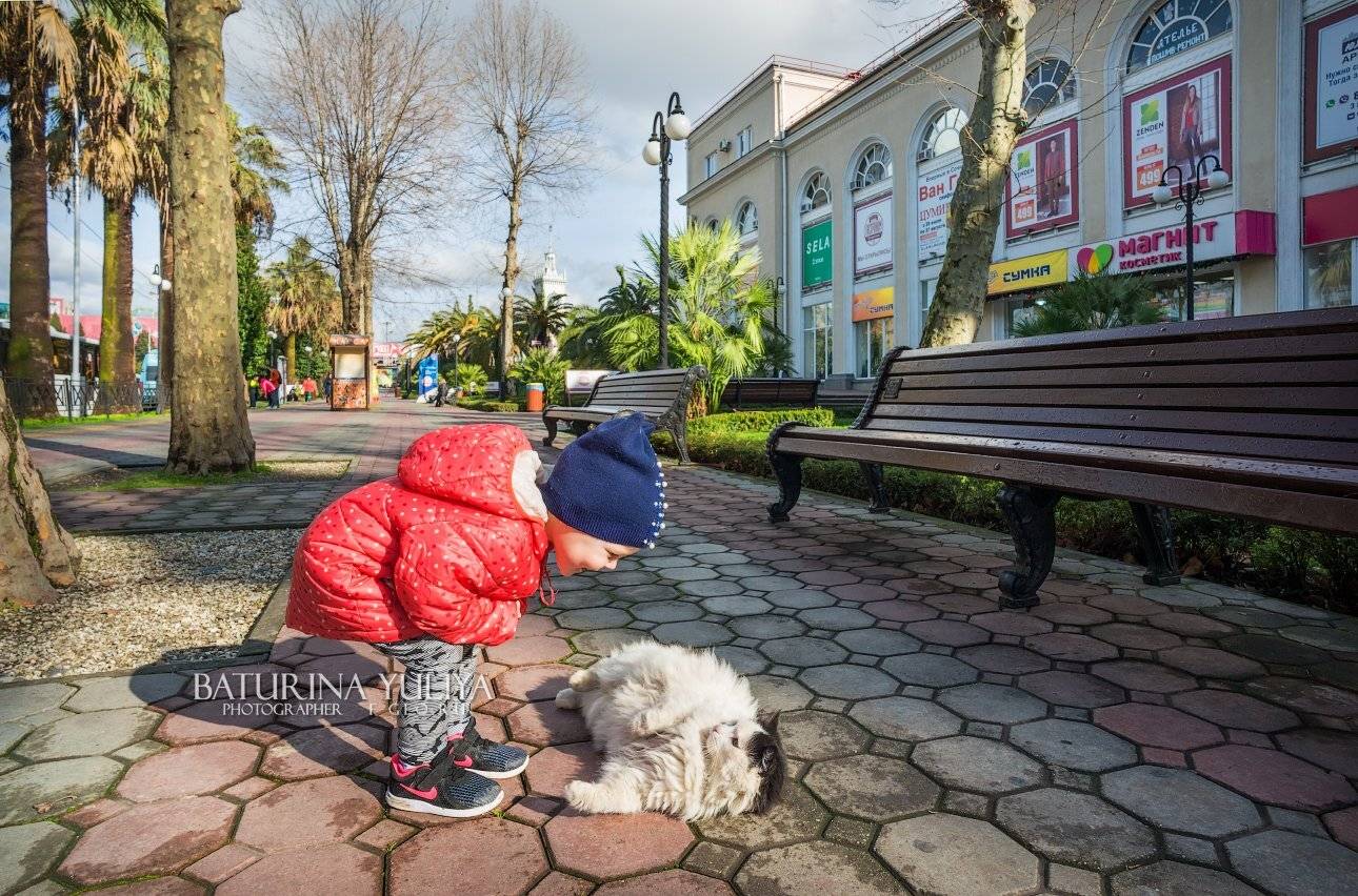 россия, сочи, мальчик, кот, улица, портрет, люди, животные, Юлия Батурина