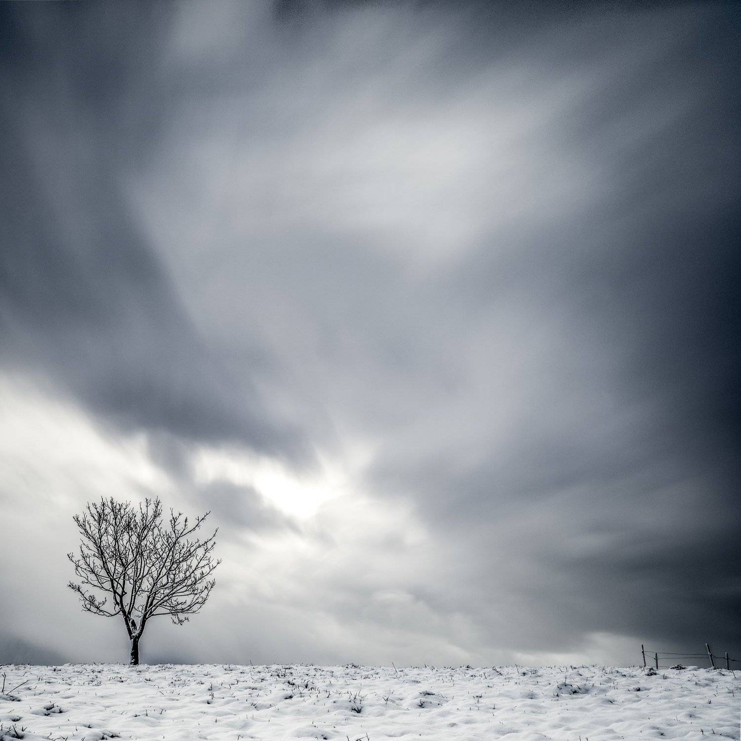 tree,winter,long exposure,minimalismus,sky, Felix Ostapenko