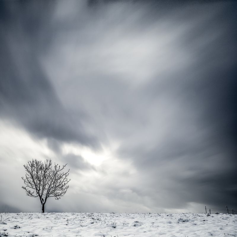 tree,winter,long exposure,minimalismus,sky alone tree фото превью