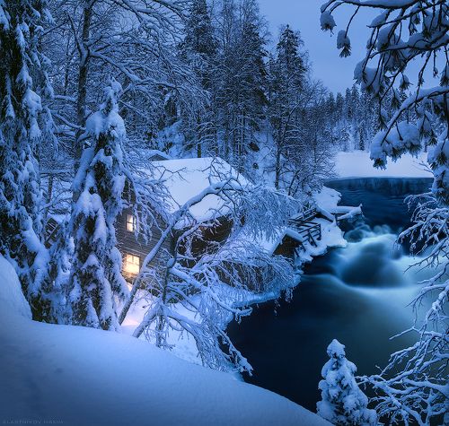 Winter Wondeland