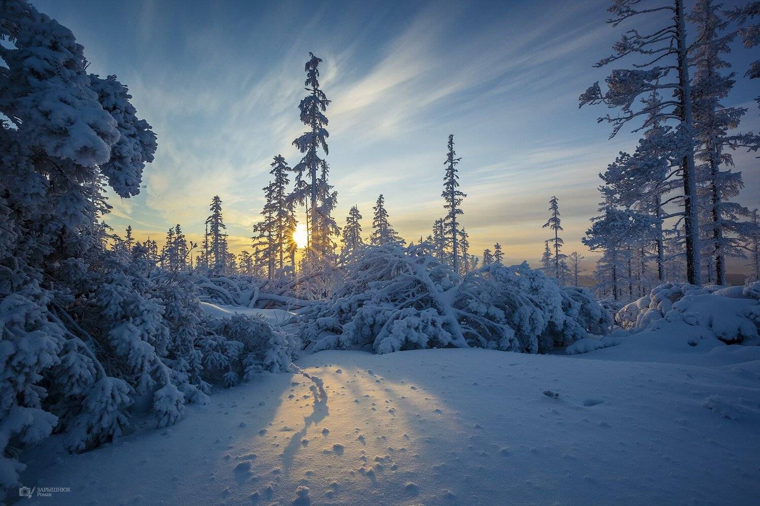 , Зарышнюк Роман