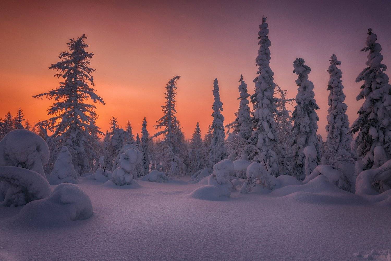 , Евгений Кужилев