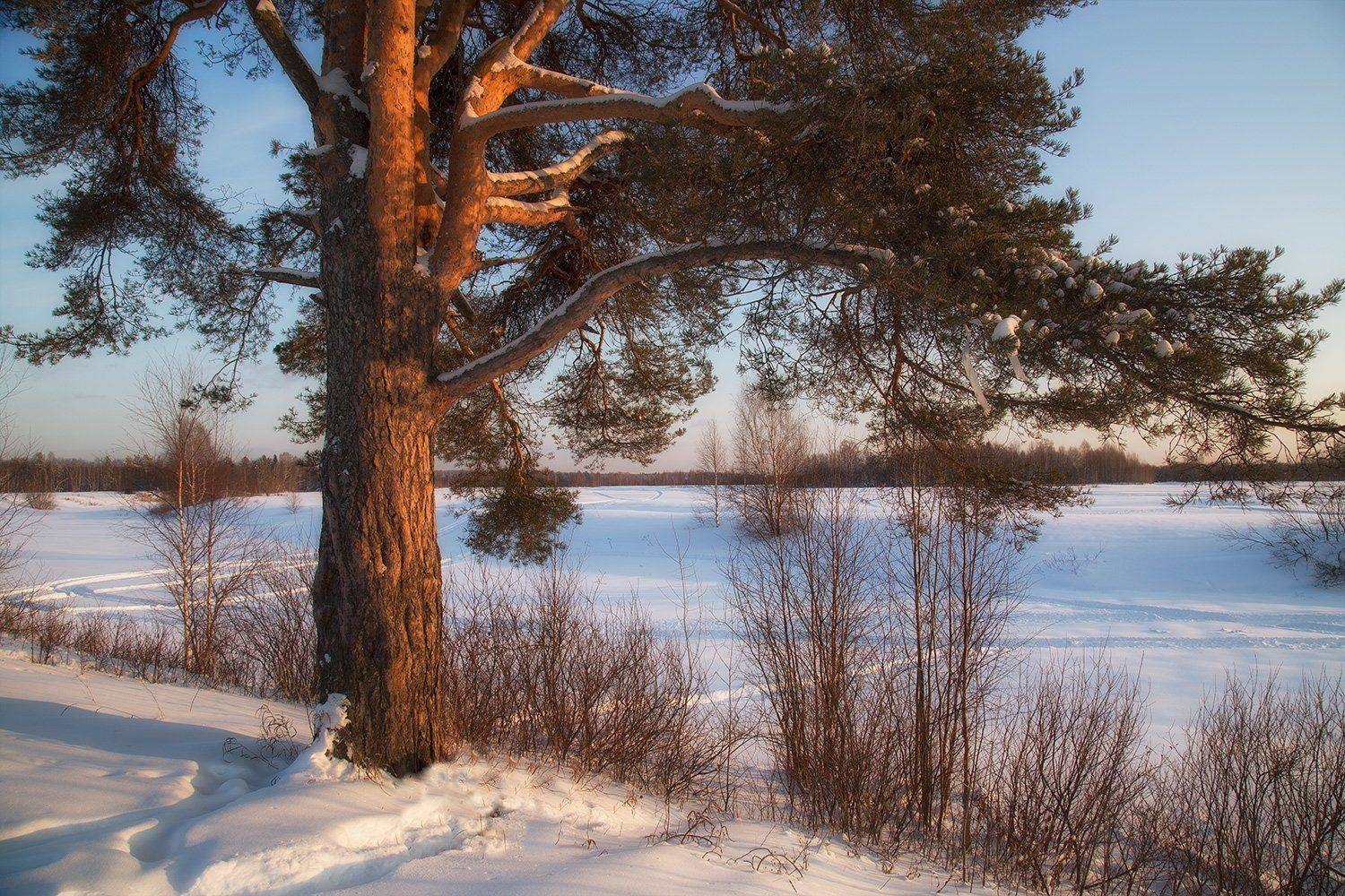 , Поташев Александр