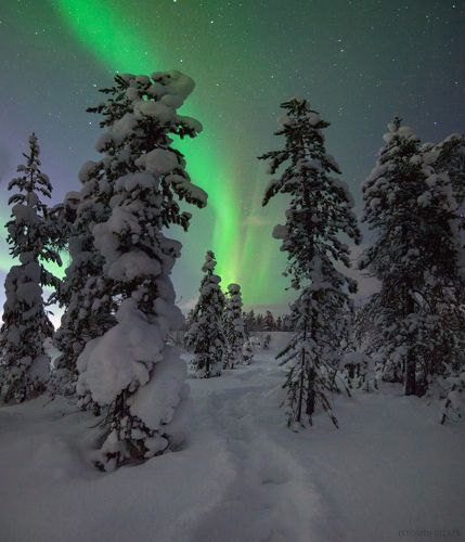 Ночные прогулки