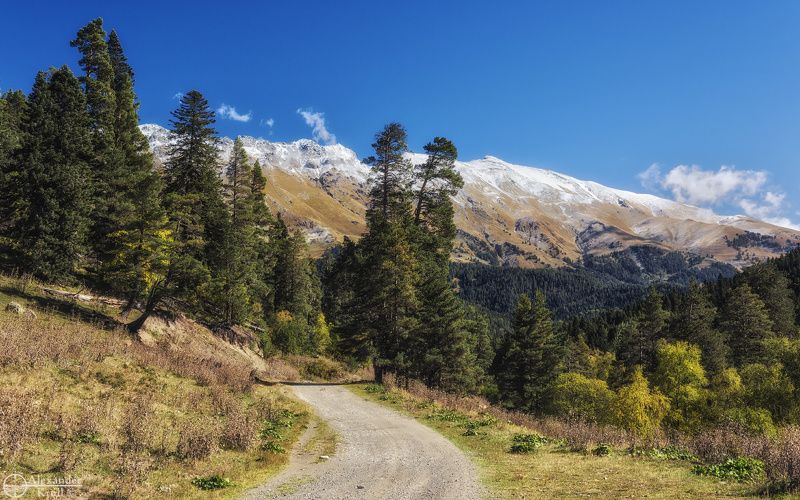 Иду, любуюсь... фото превью