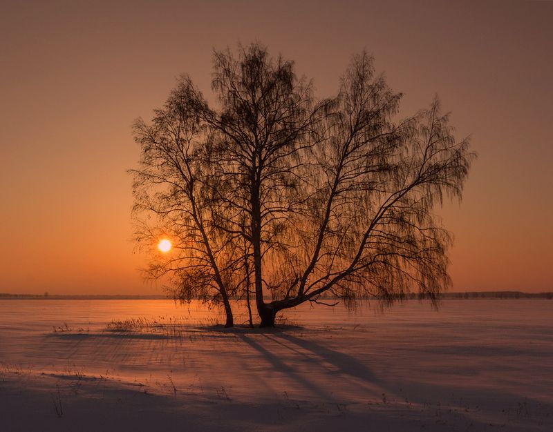 На закате дня... фото превью