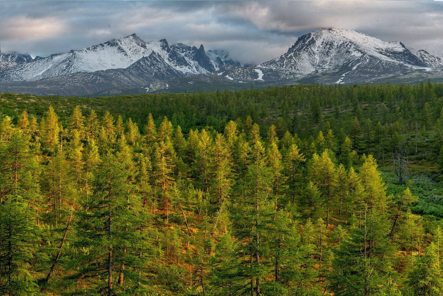 Колыма, фототуры с Владимиром Рябковым, озеро Джек Лондона., Владимир Рябков