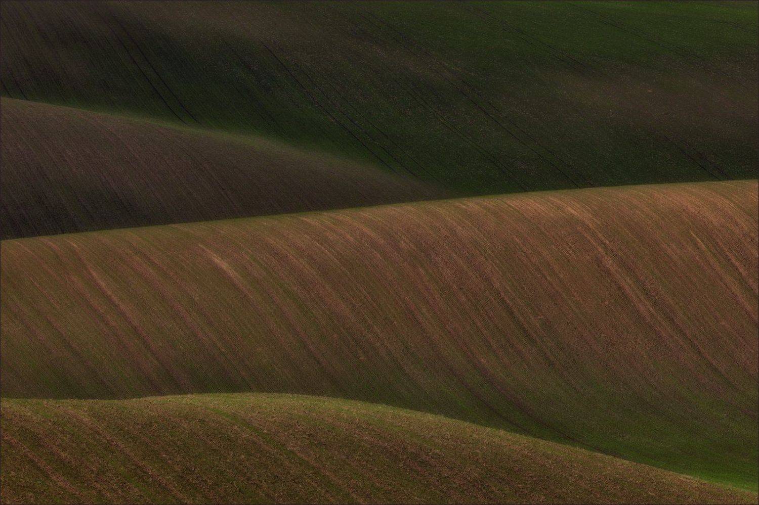 южная моравия,hils,линии,south moravian,волны,lines,свет,czech,осень,чехия,landscapes,абстракция., Василий Гори