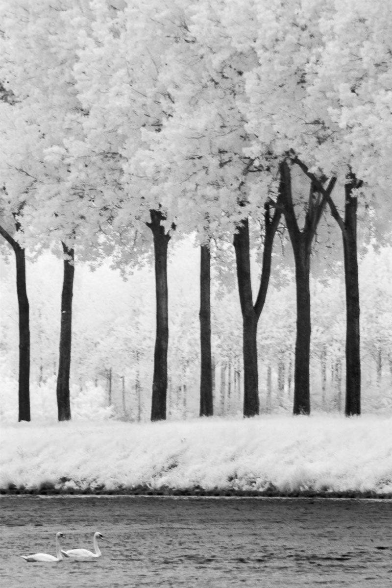 , Сергей Козинцев