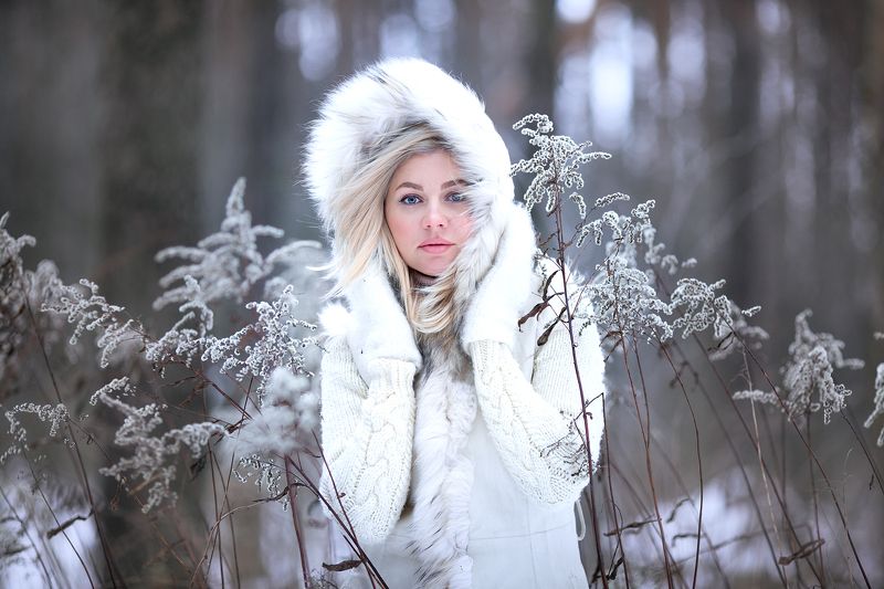 фото превью