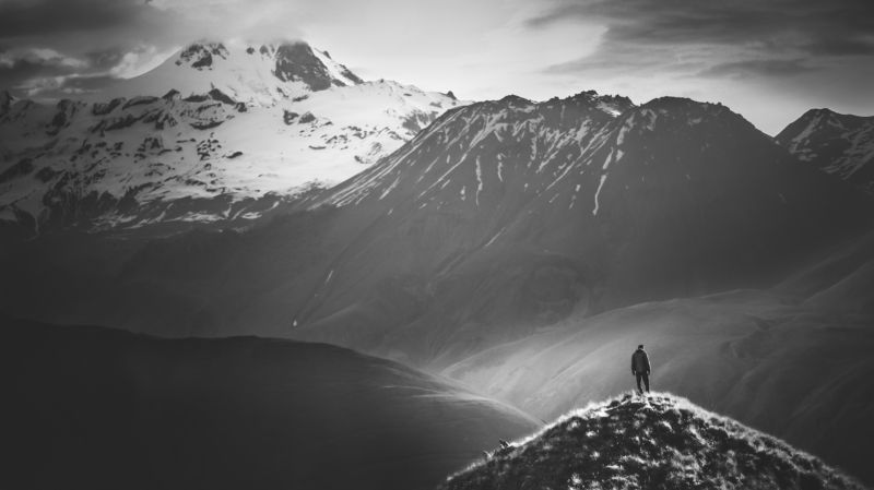Traveler