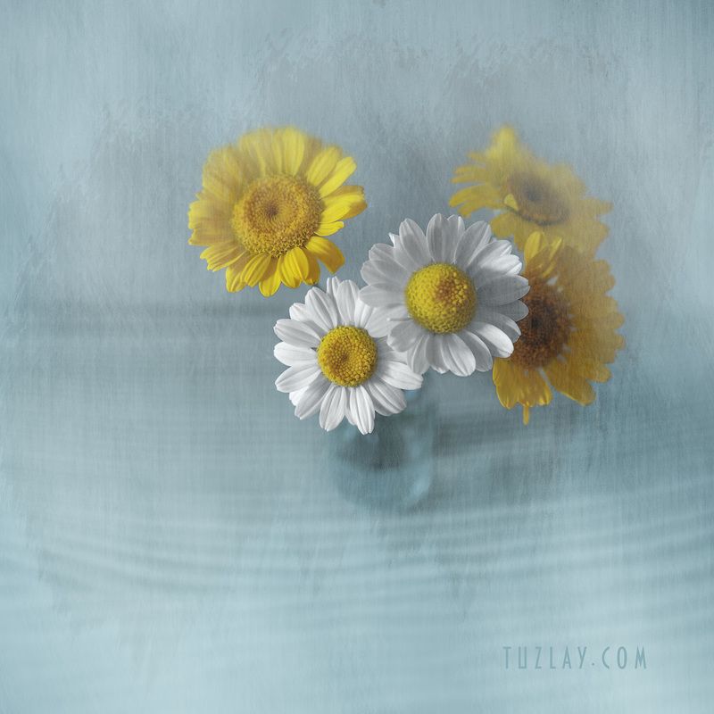 Квадратики в стиле «. . .» фото превью