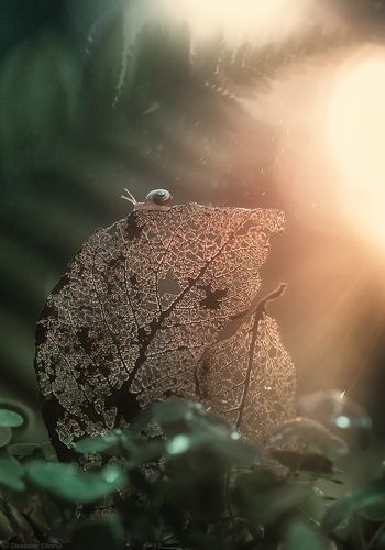 Хрупкость бытия