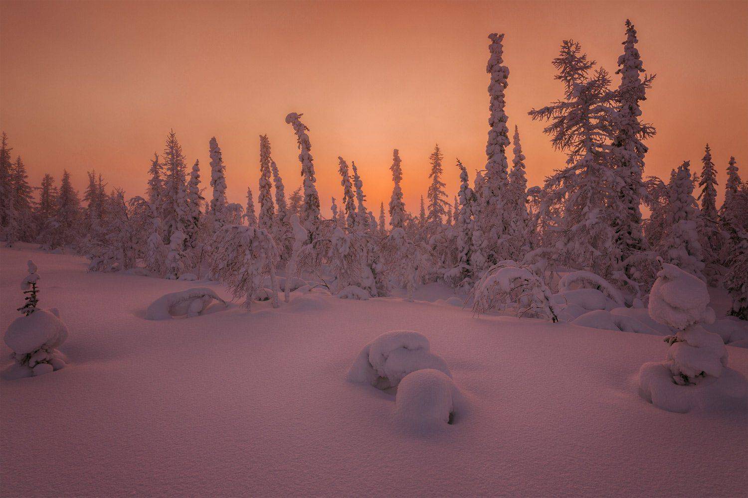, Евгений Кужилев