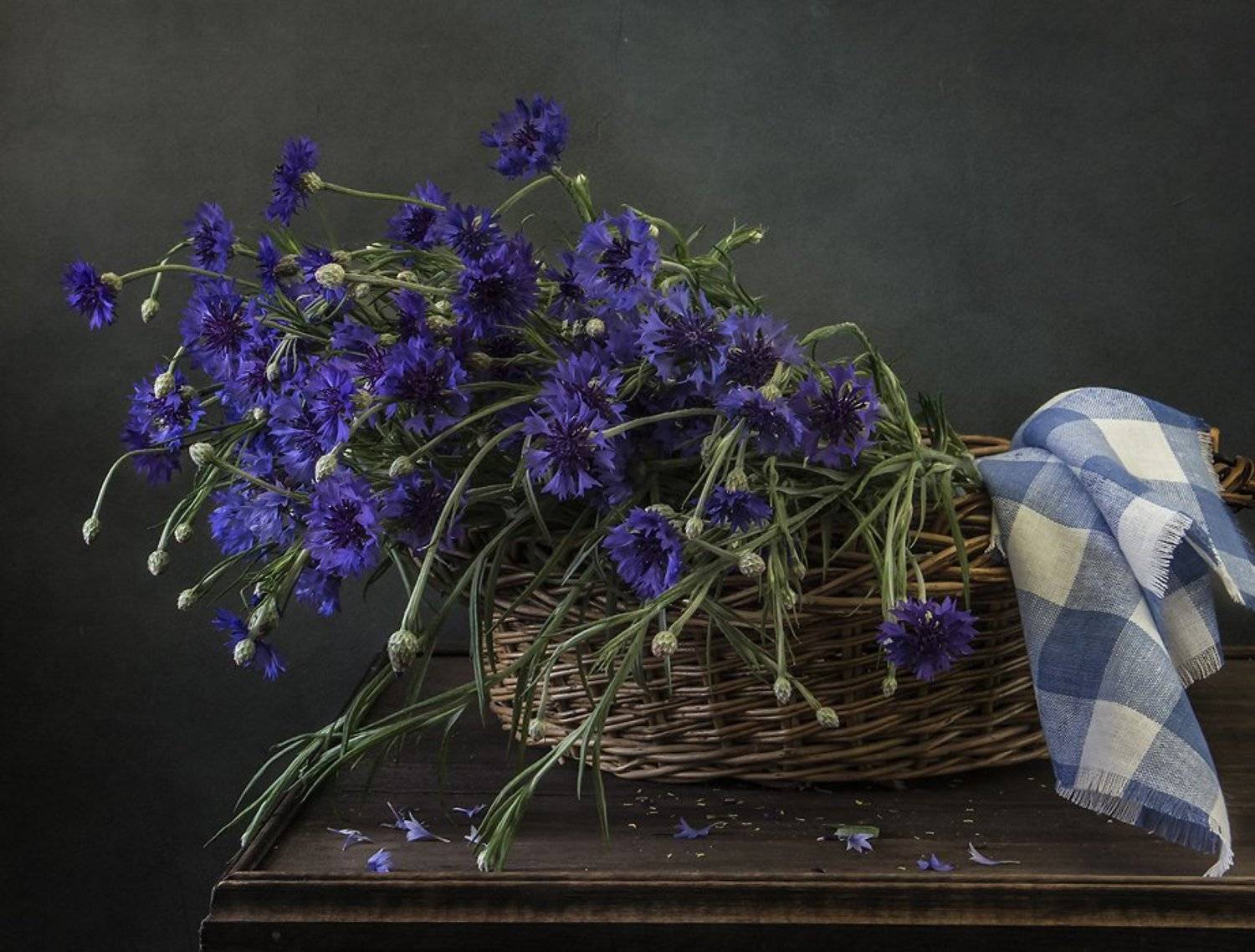 натюрморт, цветы, still life, Оля